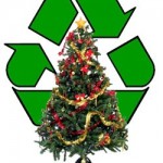 RecycleChristmaTrees