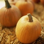 Pumpkins on Bale of Hay --- Image by © Royalty-Free/Corbis